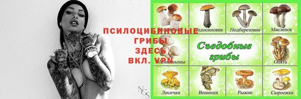 a pvp Бородино