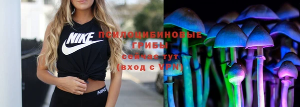 a pvp Бородино