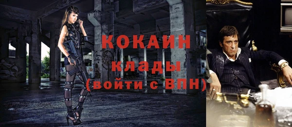 a pvp Бородино
