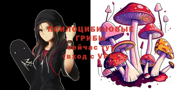 экстази Бронницы