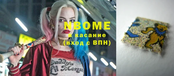 a pvp Бородино