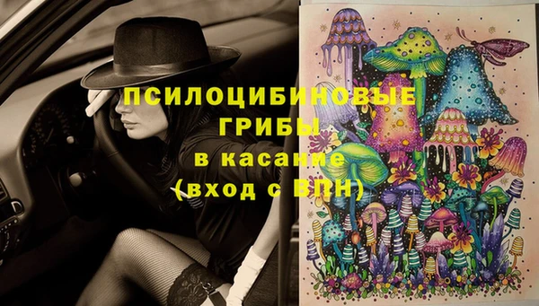 марки lsd Бугульма